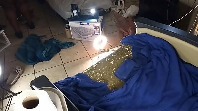 big large arse ebony cooter pulverizing