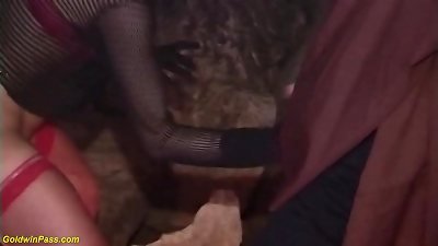 nasty halloween witches going mischievous